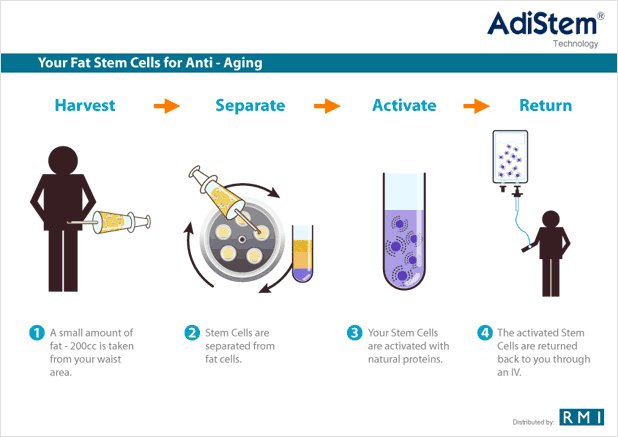 Diagram Anti Aging